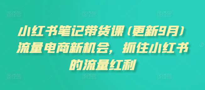 小红书笔记带货课(更新25年1月)流量电商新机会，抓住小红书的流量红利