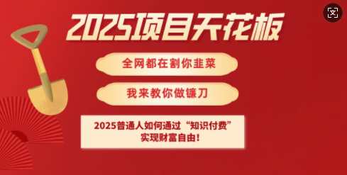 2025项目天花板普通人如何通过知识付费，实现财F自由【揭秘】